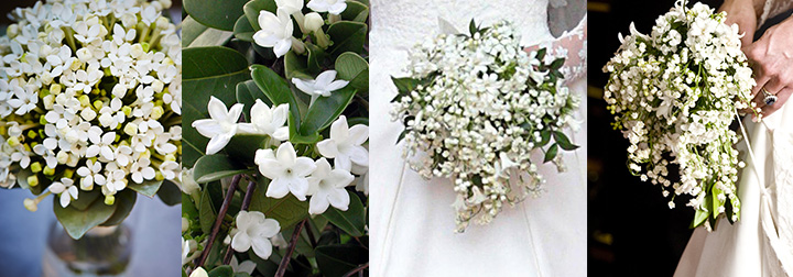 bouquet-fiori-darancio_bouvardia_mughetto_gelsomino_Roberta-Patane_Matrimoni-con-laccento