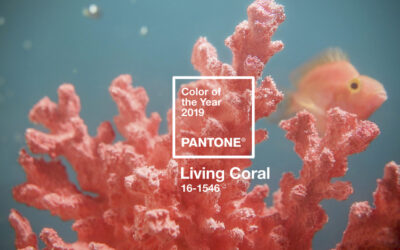 Colore dell’anno 2019: Living Coral