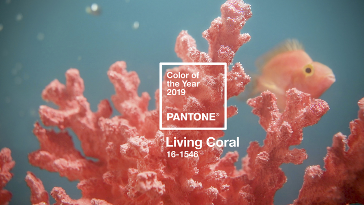 Colore dell’anno 2019: Living Coral