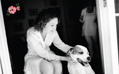 Cani al matrimonio: cosa fare?