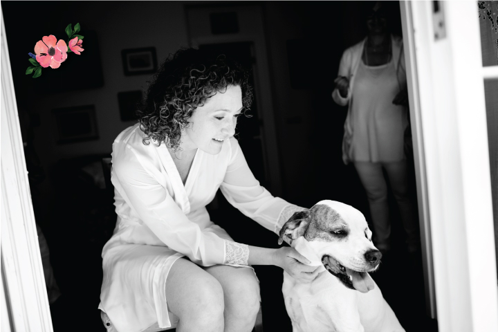 Cani al matrimonio: cosa fare?