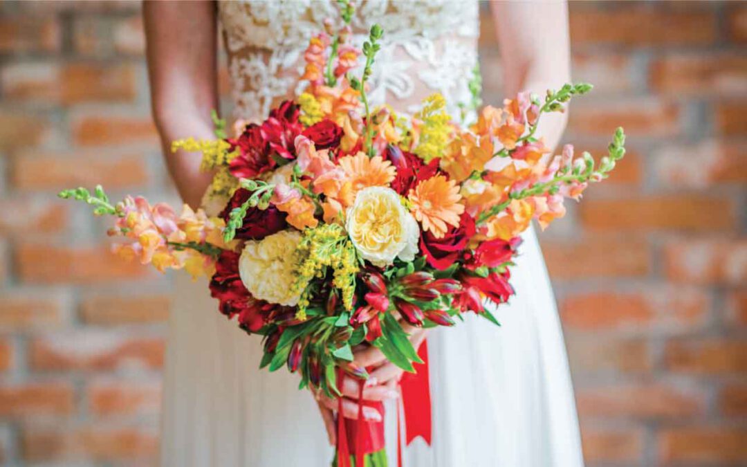Matrimonio rosso in 4 palettes