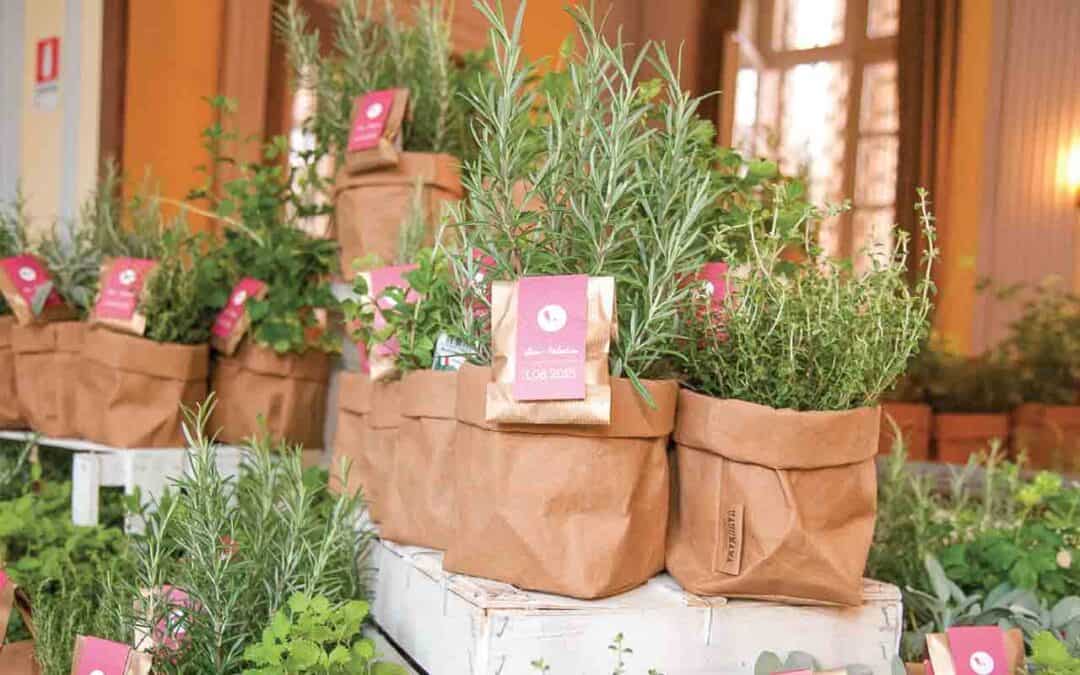 Matrimonio Ecosostenibile