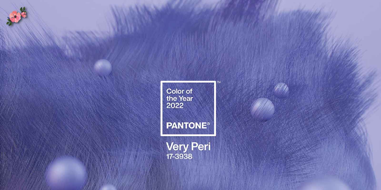 Colore dell’anno 2022: Very Peri Colore dell'anno 2022: Very Peri