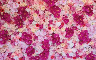Fiori matrimonio 2023: 8 nuovi trend